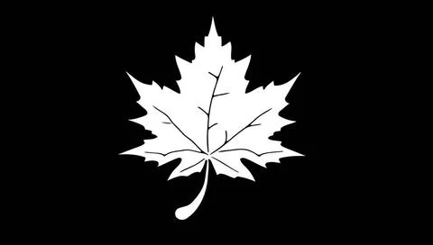 Stylized maple leaf on a black background A leaf is shown in black and whi... 스톡 사진