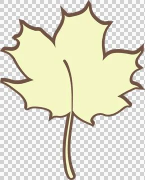 Stylized maple leaf is floating in flat vector, yellow fill, brown border on Stock Illustration