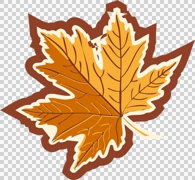 Stylized maple leaf showing orange yellow lobes, brown veins, cream outline, Stock Illustration
