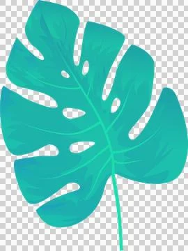 Stylized monstera leaf featuring flat design with gradient turquoise tones, Stock Illustration