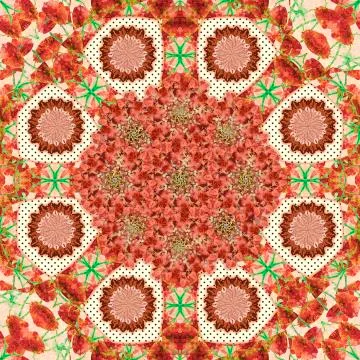 Stylized Nature Boho Chic Pattern Stock Illustration