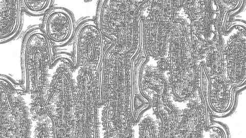 Stylized Negative Fluid Effect with Fractal Noise Stock Footage 150014020