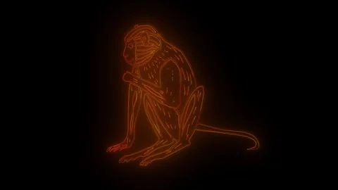 Stylized neon outline of a sitting monkey with a thoughtful pose on a black back Stock Footage 319299309