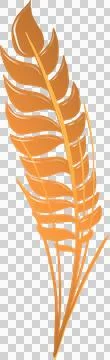 Stylized orange feather leaf is floating in vector with gradient shading on Stock Illustration