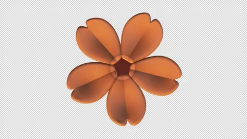Stylized orange flower Stock Footage 308021889