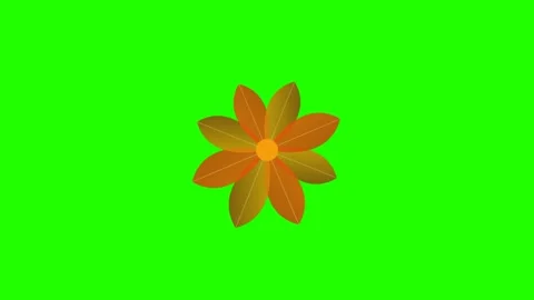 A stylized orange flower graphic centered against a vibrant green background 스톡 동영상 338310910