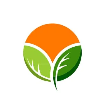 Stylized orange with green leaf vector illustration isolated on white backgro Stock Illustration