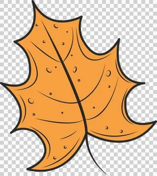 Stylized orange leaf is floating on transparent background showing thick outline Illustrazione stock