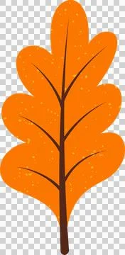 Stylized orange oak leaf is being shown in flat design with brown veins on Stock Illustration