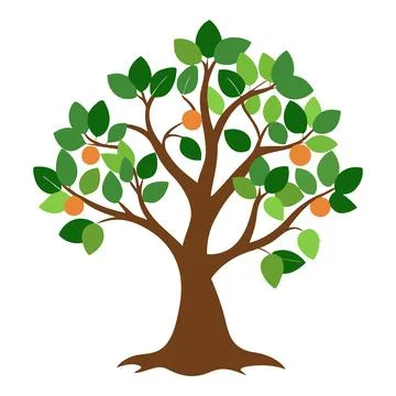 Stylized orange tree illustration on a white background Stock Illustration