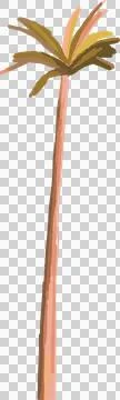 Stylized palm tree vector is showing slender trunk with radiating fronds on Stock Illustration