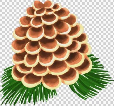 Stylized pine cone is resting on pine needles with brown cream-edged scales Stock Illustration