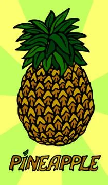 Stylized pineapple on beautiful background Stock Illustration