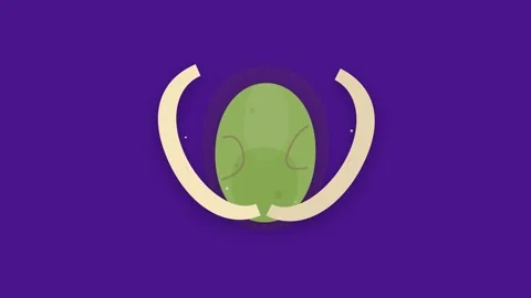 Stylized pistachio nut shell opening to reveal a detailed green kernel on a.. Видео 346007143