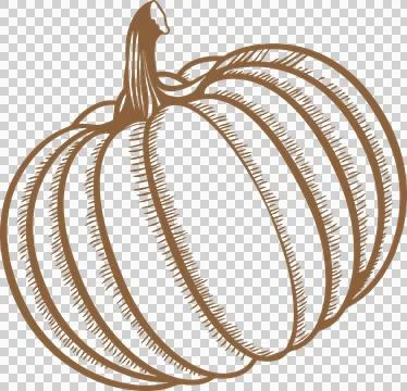 Stylized pumpkin is showing curved ribbed segments with hatch shading on Illustrazione stock