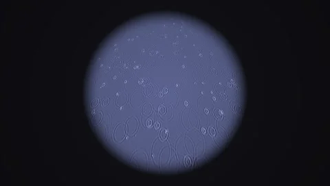Stylized raindrops creating ripples in four circular windows. 4K 스톡 동영상 342688141