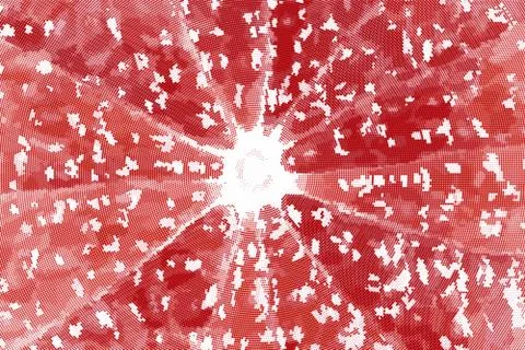 Stylized red grapefruit slice halftone vector Stock Illustration