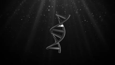 Stylized representation of DNA double helix Stock Footage 307999662