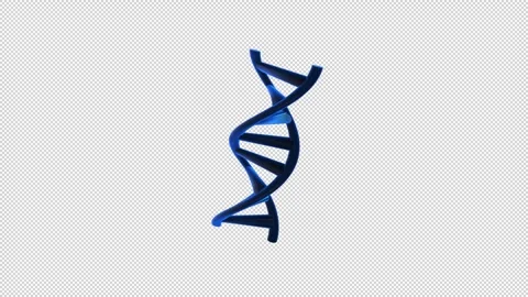Stylized representation of DNA double helix Blue Loop Stock Footage 308000258