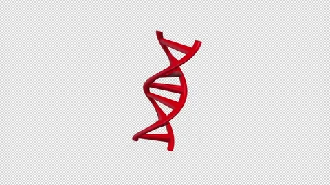 Stylized representation of DNA double helix Red Loop Stock Footage 308000262