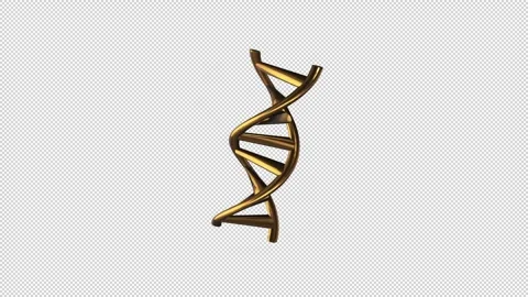 Stylized representation of DNA double helix Gold Stock Footage 308000264