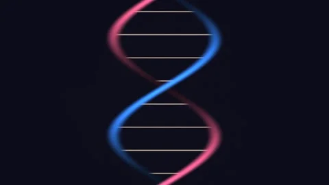 Stylized representation of a DNA double helix in bright Stock Footage 338131449