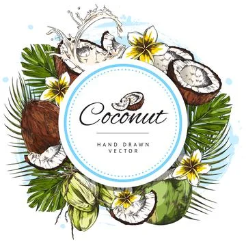Stylized round colorfull vector hand drawn illustration of whole, slice coconuts Stock Illustration