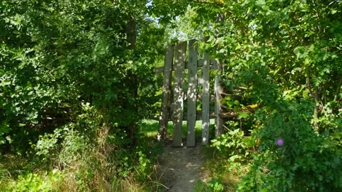 Stylized rustic wooden gate in a lush green secret garden. Stock Footage 328357478