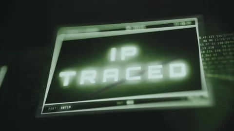 Stylized screen displaying IP Traced, digital location of a user is discovered Stock Footage 335461236