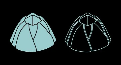 Stylized sea shell illustration in solid and line art with sea life Stock Illustration