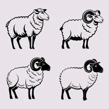 Stylized Sheep and Ram Vector Illustration Set Stock Illustration