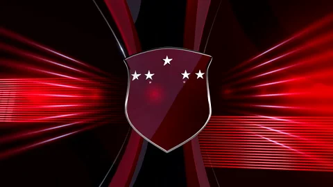 Stylized shield as form of protection and security Stock Footage 261419794