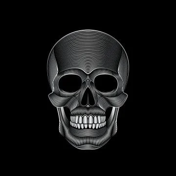 Stylized silver skull on black background Illustrazione stock