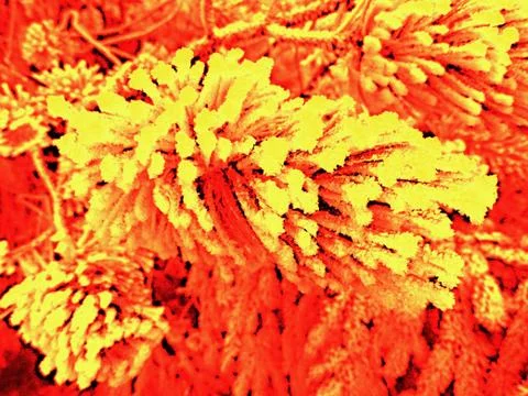 Stylized slippery Stock Photos