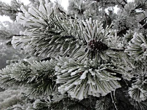 Stylized slippery  Foto stock