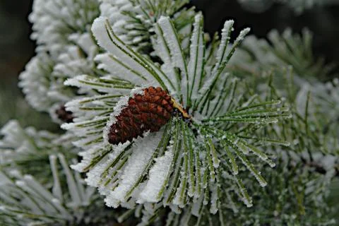 Stylized slippery Stock Photos