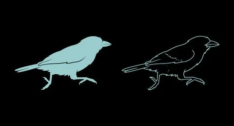 Stylized small bird walking vector graphic illustration with black background Stock Illustration