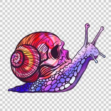 Stylized snail skull shell is showing orange-purple gradient in flat design, Illustrazione stock