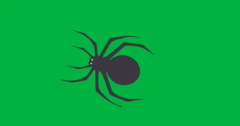 Stylized spider floating on transparent background, showing angular legs and Stock Footage 317527365
