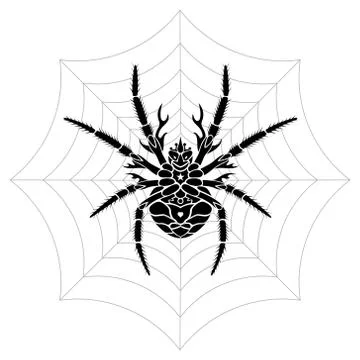 Stylized Spider Stock Illustration