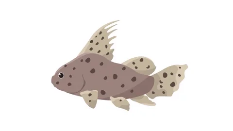 Stylized Spotted Brown Fish Icon Illustration Isolated on White Background Stock Footage 345931102