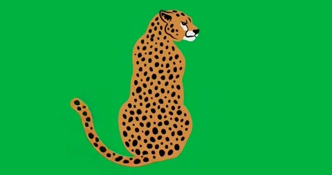 Stylized spotted cat looking over shoulder on transparent background, enhancing Stock Footage 317450085