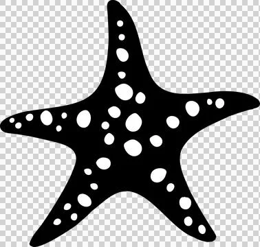 Stylized starfish is radiating spotted arms in flat vector style, transparent Stock Illustration