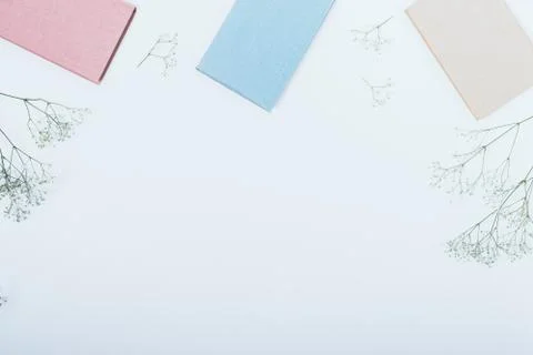 Stylized student flat lay desktop of pastel shades 库存照片
