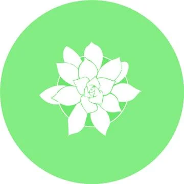 Stylized succulent Stock Illustration