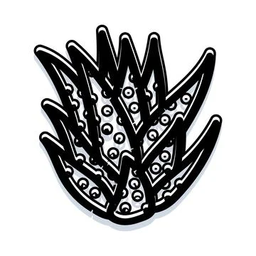 Stylized succulent plant line art drawing with shadow Stock Illustration