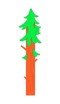 Stylized tall evergreen pine tree 2D cartoon object Stock Illustration