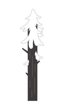 Stylized tall evergreen pine tree 2D line object Stock Illustration