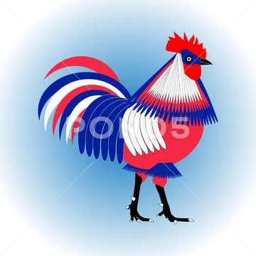 Stylized three-color chicken rooster isolated on a light blue background. Vec Stock Illustration