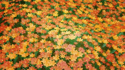 Stylized three-dimensional red-orange flowers. meadow of flowers. animated backg Stock Footage 256954910